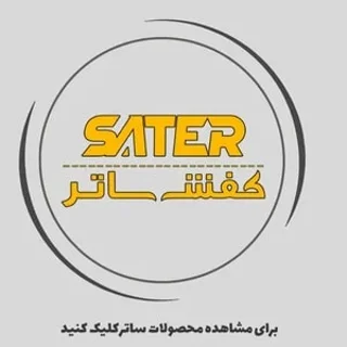 ایمنی ساتر